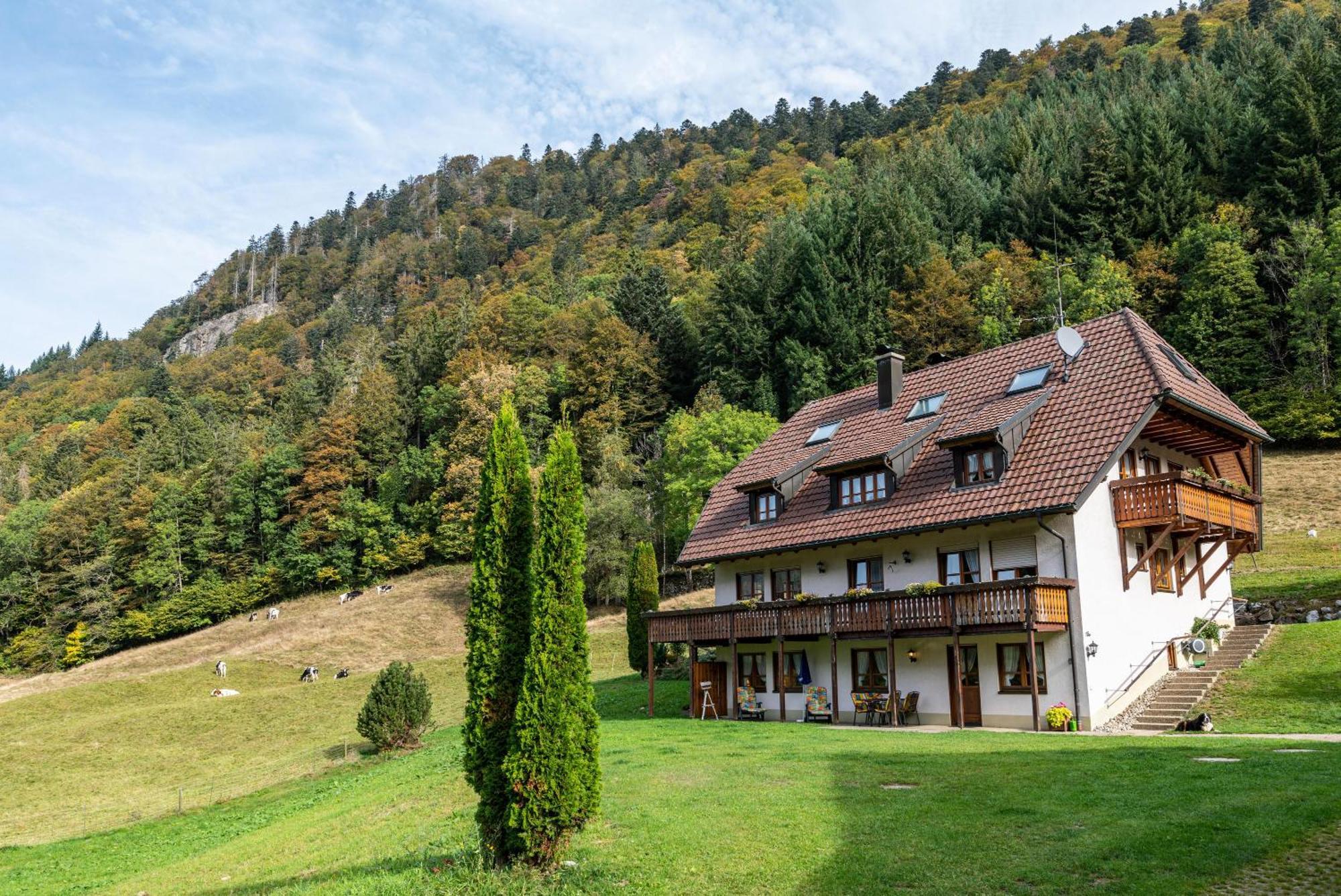Gasthaus Zur Linde- Napf Oberried  Exterior photo